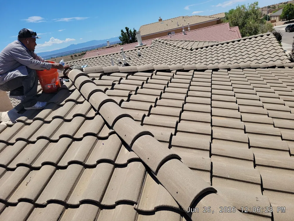 Concrete tile roof